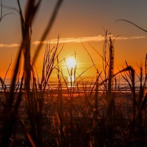 Sunset Photo/Mug Set